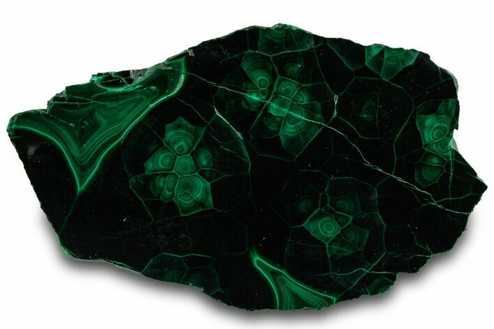 Flowery Polished Malachite Slab - DR Congo #319840